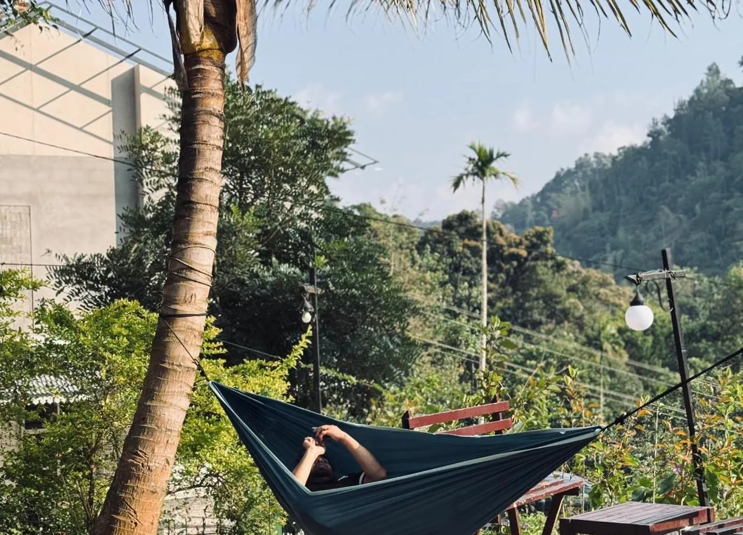 Greenwoods Munnar Unmarried Allowed Homestay